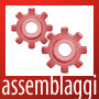 assemblaggi